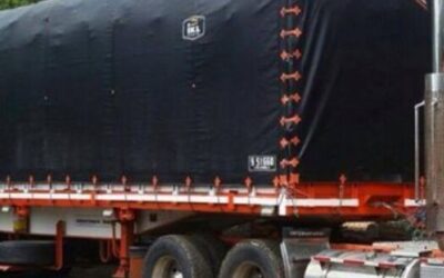 Celebración amor y amistad  